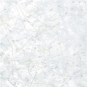 NC14302 - Prepasted Wallpaper, 3 Pieces: Maps, Gray/Blue