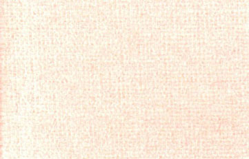 NC2036L - Carpet: Peach Mist 14 X 20