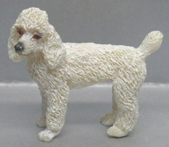 NCRA0186 - Poodle-White-Standing
