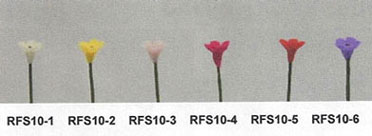 NCRFS10-1 - Wild Flowers Stems-White/Set Of 12