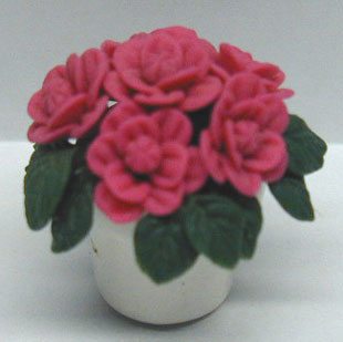 NCRP0116 - Pink Roses
