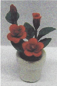 NCRP0119 - Red Rose Plant