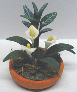 NCRP0185 - White Lily Plant (1-3/8)