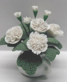 NCRP0790 - White Carnation In White Ter. Cot 1 1/2