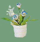 VMMF2036C - Blue Carnations
