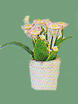 VMMF2037A - Miniature Flower in White Pot