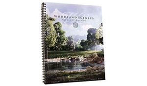 WDSR100C - Woodland Scenics Catalog