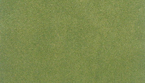 WDSRG5131 - Spring Grass RG Roll, 33 x 50 Inches