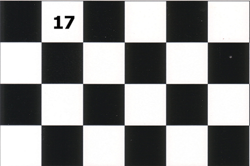 WN17 - Tile Floor: Black/White, 3/4 Inch Squares, 9 X 12