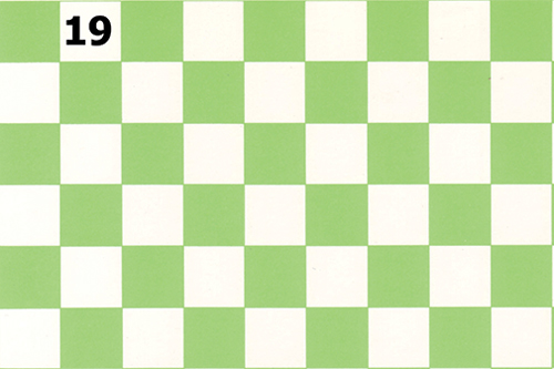 WN19 - Tile Floor: Green/White 1/2 In Sqares, 9 X 12