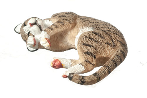 AZA6002 - Cat