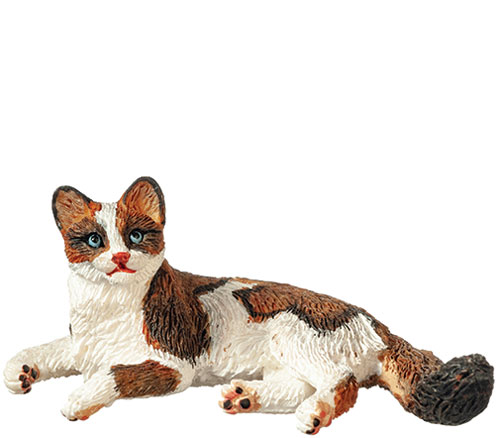 AZA6003 - Cat