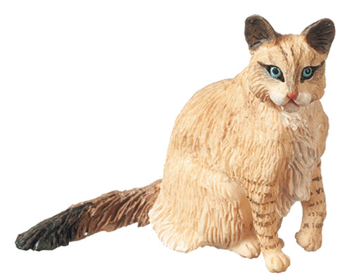 AZA6004 - Cat