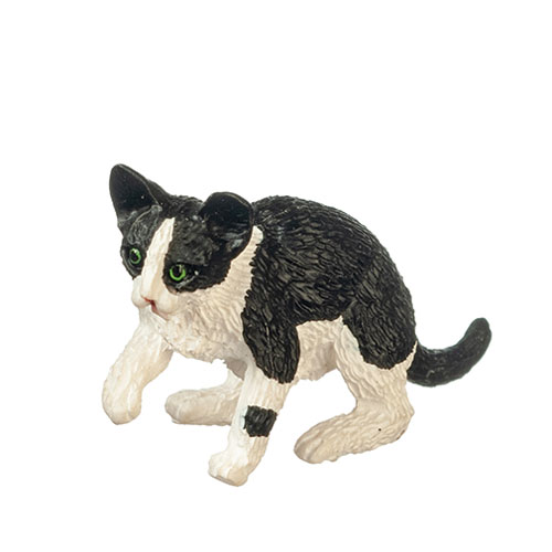 AZA6008 - Cat