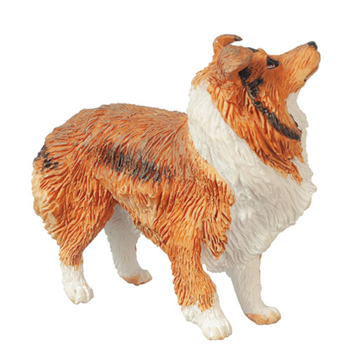 AZA6026 - Sheltie