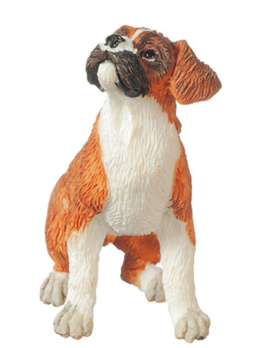 AZA6029 - Boxer Puppy