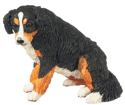 AZA6031 - Bernese Mountian Dog