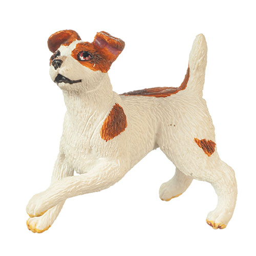 AZA6035 - Jack Russell Terrier