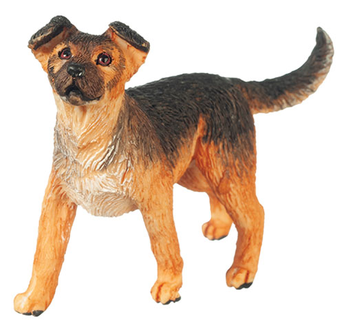 AZA6037 - Mixed Breed Shepherd