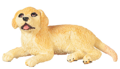 AZA6038 - Yellow Lab Puppy Laying