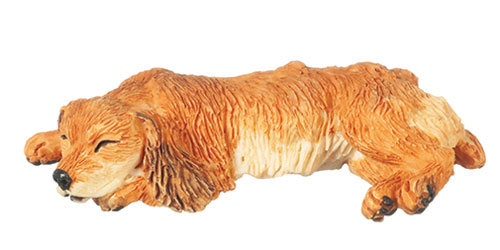 AZA6039 - Cocker Spaniel Buff