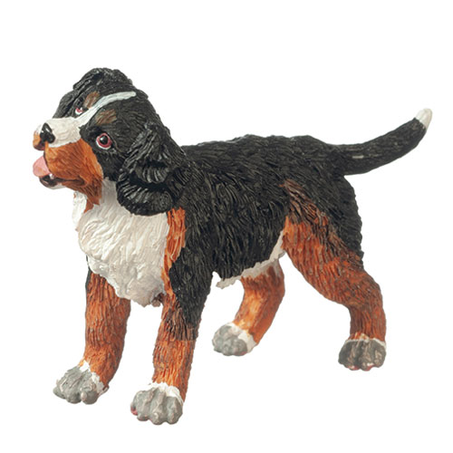 AZA6043 - Bernese Mtn Dog Puppy