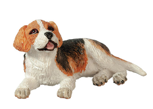AZA6044 - Beagle