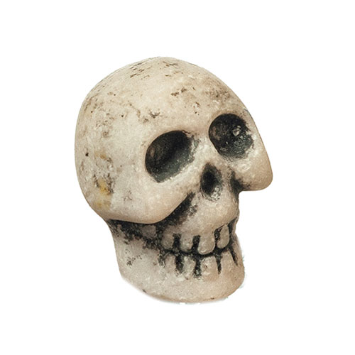 AZA9964 - Skeleton Skull