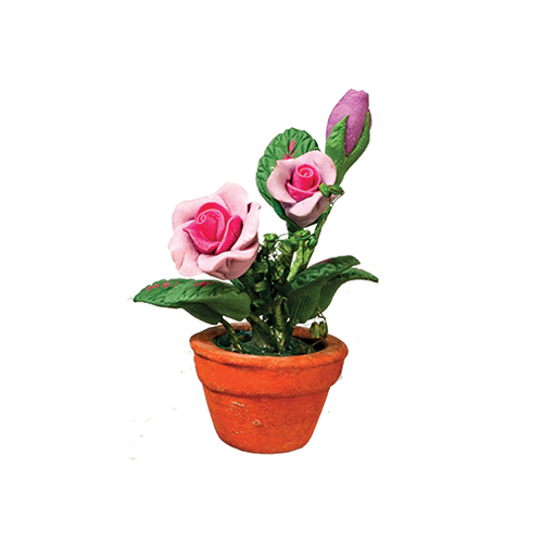 AZB0551 - Violet/Pink Roses In Pot