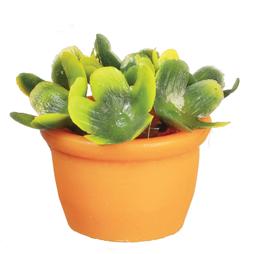 AZB3253 - Plant In Terra Cotta Vase