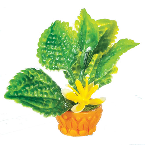 AZB3300Y - .Flower In Pot/Yellow