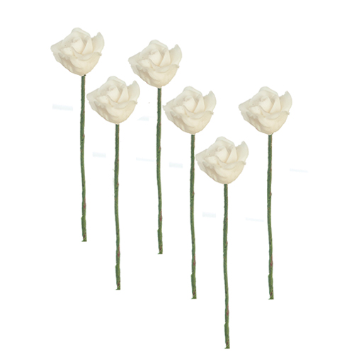 AZB3389W - Discontinued: White Roses/6