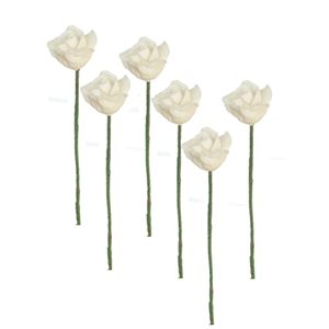 AZB3389W - White Roses/6