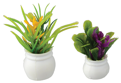 AZB5242 - Plants Set Of 2