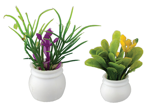 AZB5243 - Plants, Set Of 2