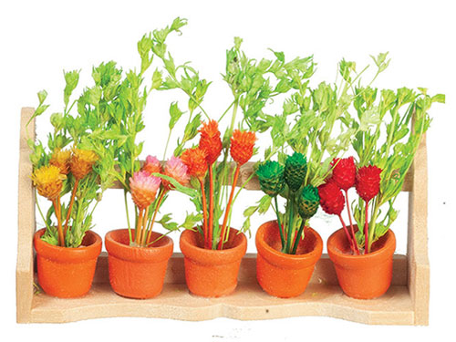 AZC1099 - Flower Box/Wild Flowers