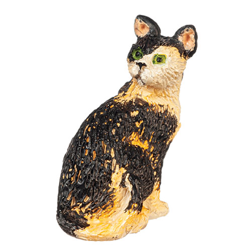 AZE0113 - Cat Looking Back/Calico