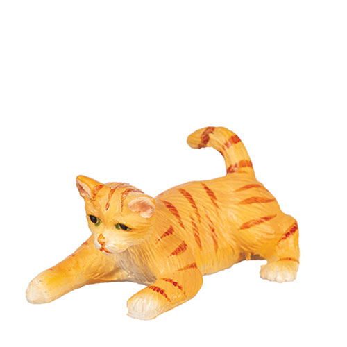 AZE0171 - Playing Cat/Orange
