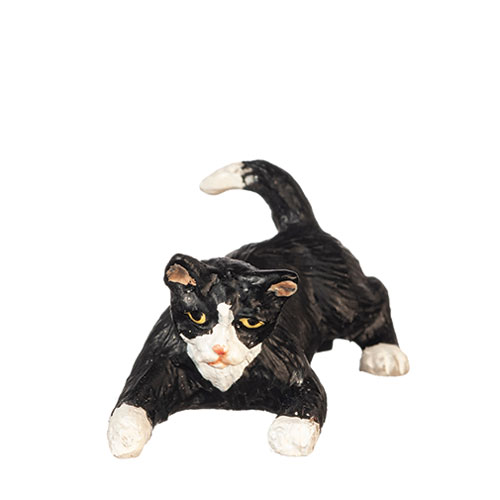AZE0172 - Playing Cat/Black/White