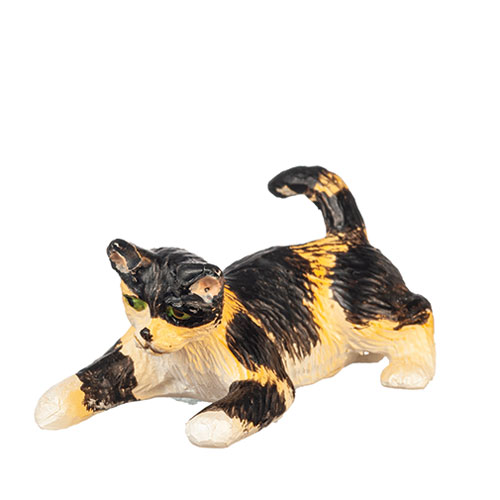 AZE0173 - Playing Cat/Calico
