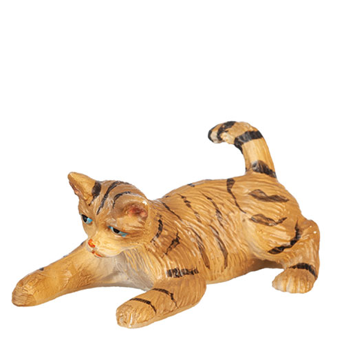 AZE0176 - Playing Cat/Tabby