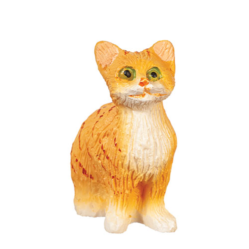 AZE0211 - Sittingcateyesopen/Orange