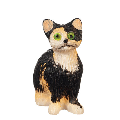 AZE0213 - Sittingcateyesopen/Calico