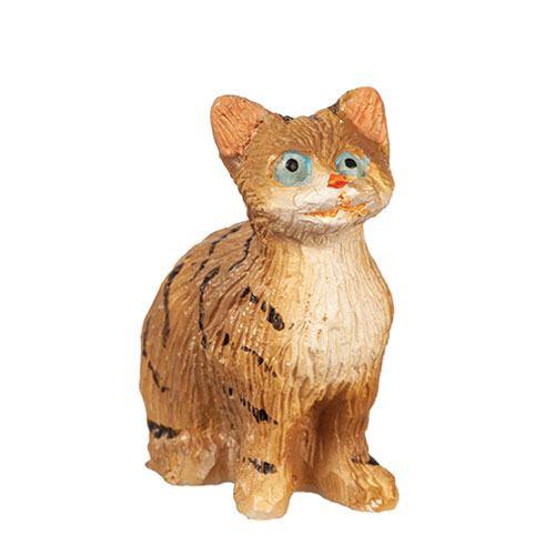 AZE0216 - Sittingcateyesopen/Tabby