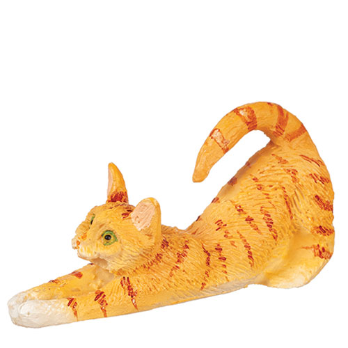 AZE0221 - Cat Stretching/Orange