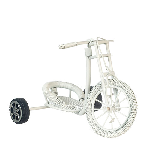 AZEIWF588 - White Trike
