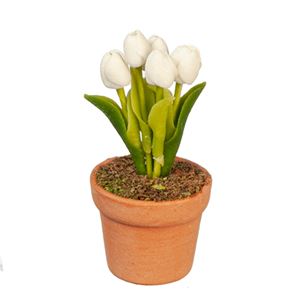 AZG6298 - White Tulip In Pot