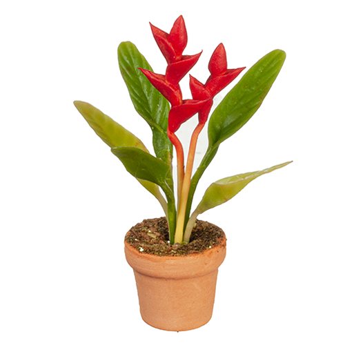 AZG6300 - Crimson Bird Of Paradise