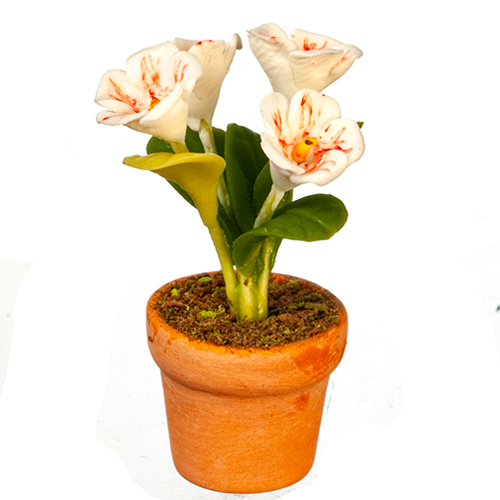 AZG6308 - White Flowers In Pot