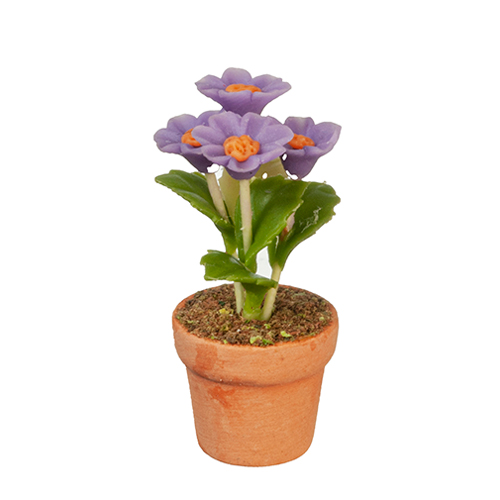AZG6310 - Lavender Daisy In Pot